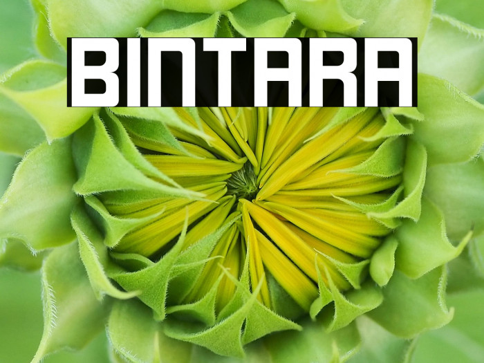 Bintara Example 2