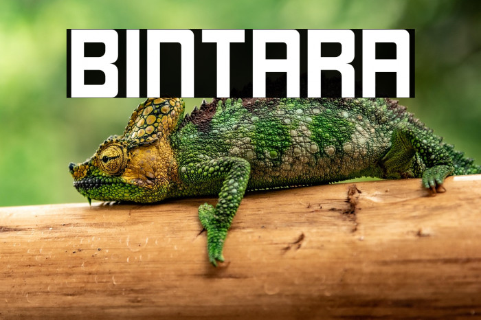 Bintara Example 3