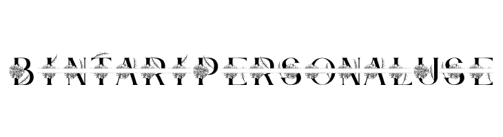 Bintari Personal Use  免费字体下载