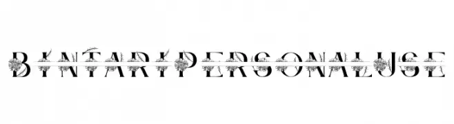 Bintari Personal Use  Frei Schriftart Herunterladen