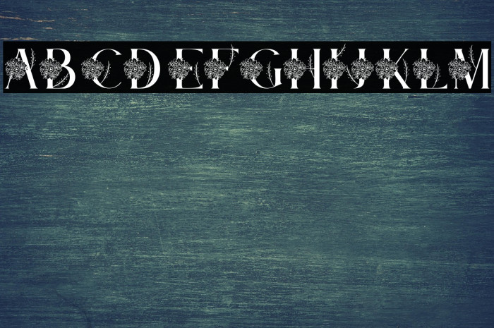 Bintari Personal Use Example 2