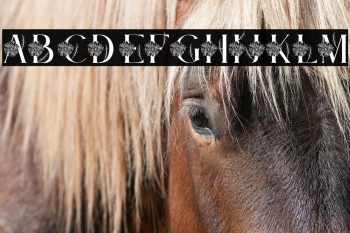 Bintari Personal Use Example 3