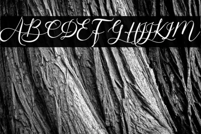 Bintari Font examples