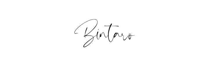 Bintaro  Fuentes Gratis Descargar
