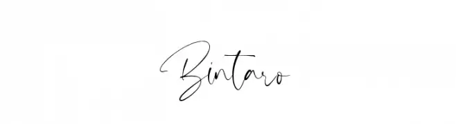Bintaro  Frei Schriftart Herunterladen
