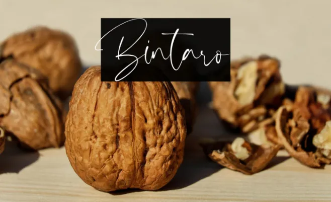 Bintaro Example 1
