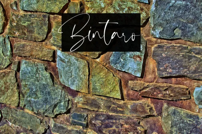 Bintaro Example 2