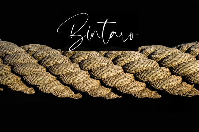 Bintaro Example 3