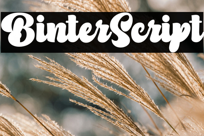 BinterScript Example 2