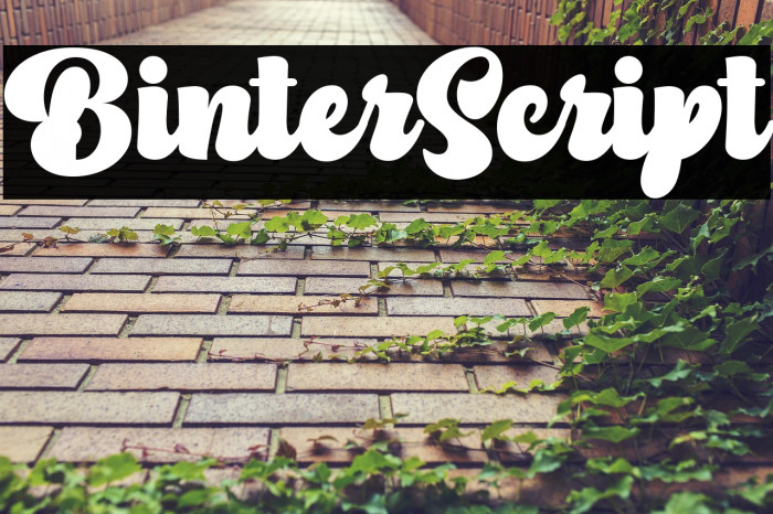 BinterScript Example 3