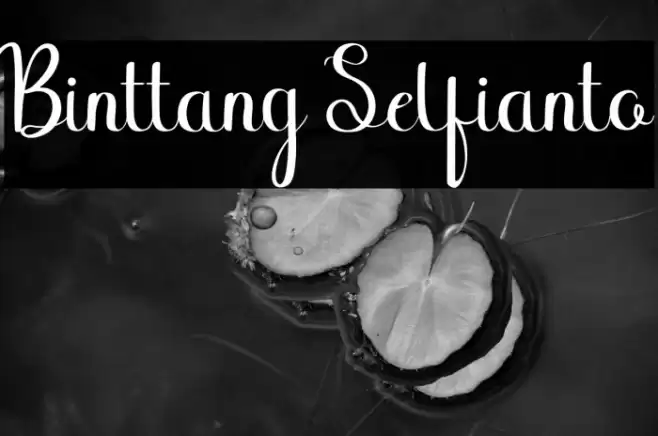 Binttang Selfianto Font examples