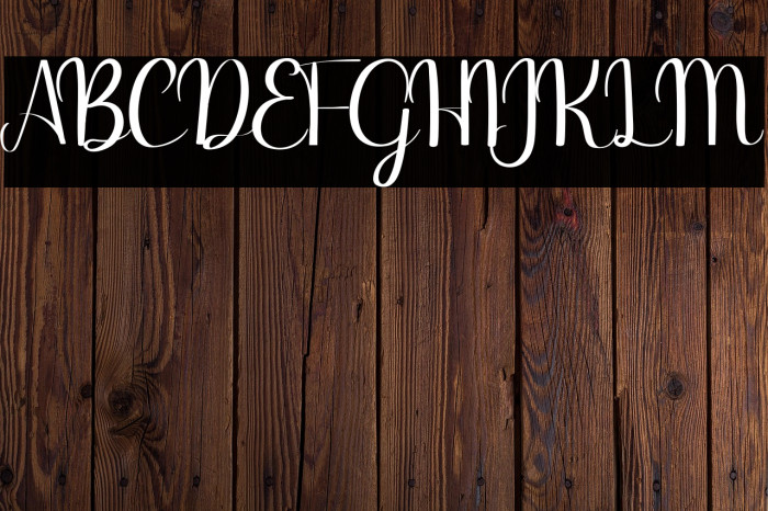 Binttang Selfianto Example 2