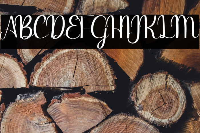 Binttang Selfianto Example 3