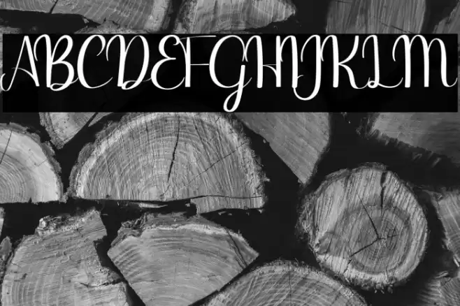 Binttang Selfianto Font examples