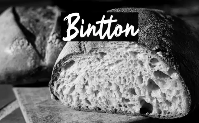 Bintton Font examples