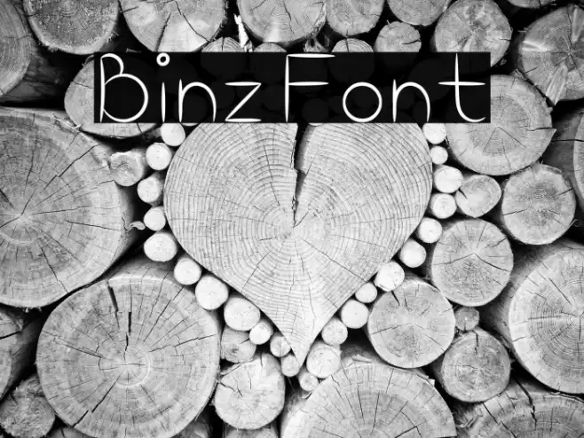 Binz Font examples