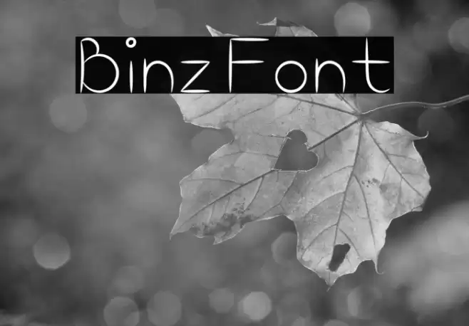 Binz Font examples