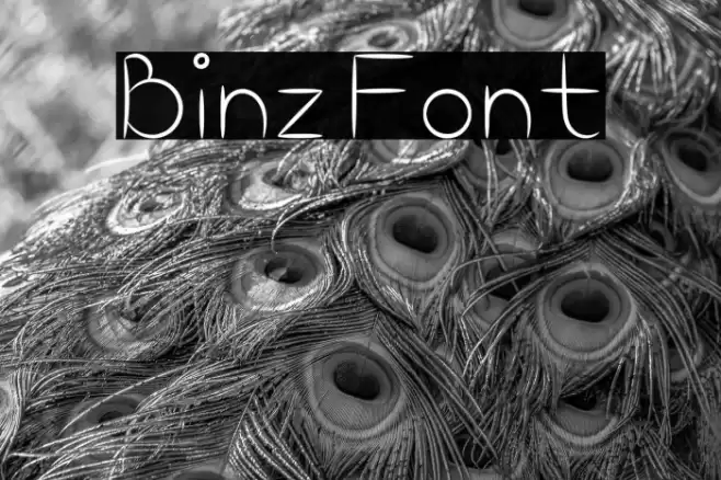 Binz Font examples
