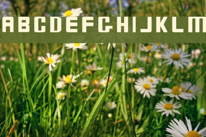 Bio-disc Thin Font examples