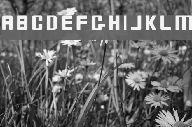 Bio-disc Thin Font examples