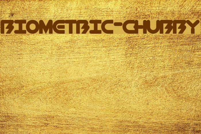 BioMetric-Chubby Font examples
