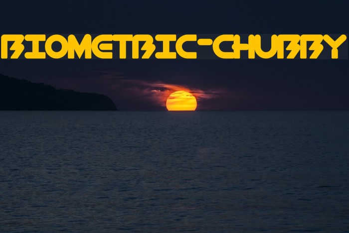 BioMetric-Chubby Font examples