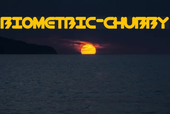 BioMetric-Chubby Example 2