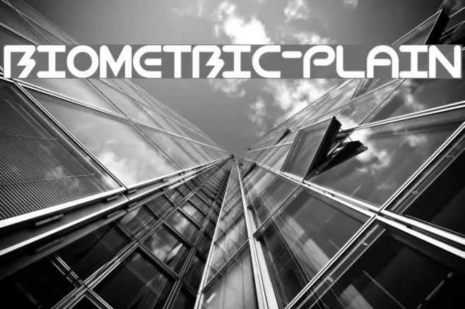 BioMetric-Plain Example 3