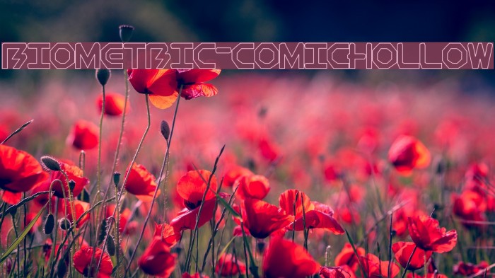 BioMetric-comichollow Font examples