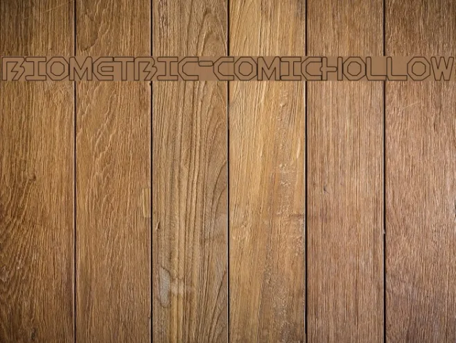 BioMetric-comichollow Example 3