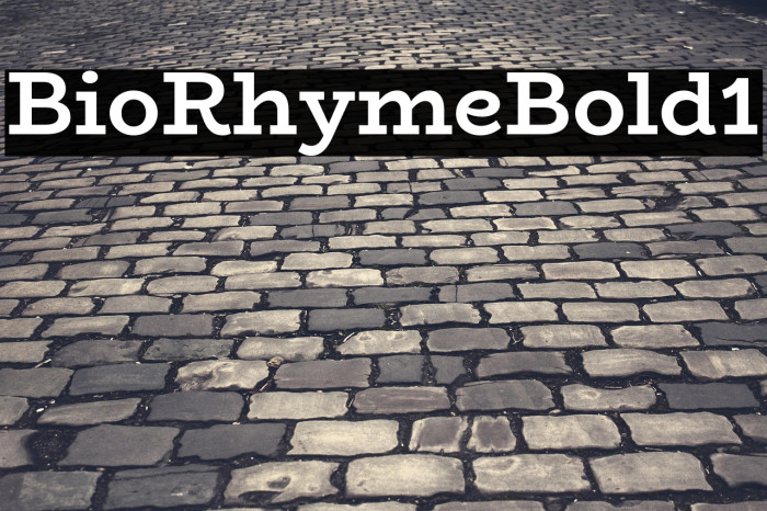 BioRhyme Bold1 Example 3