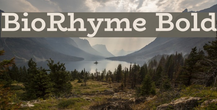 BioRhyme Bold Font examples
