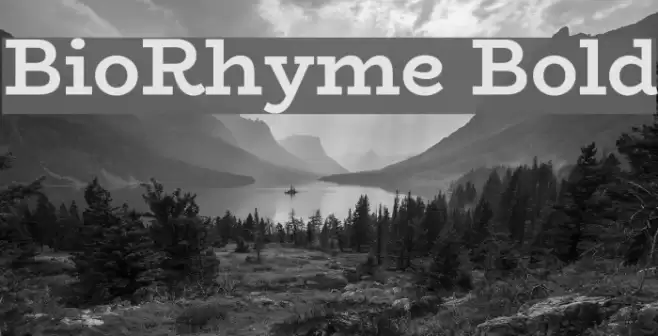 BioRhyme Bold Шрифта examples