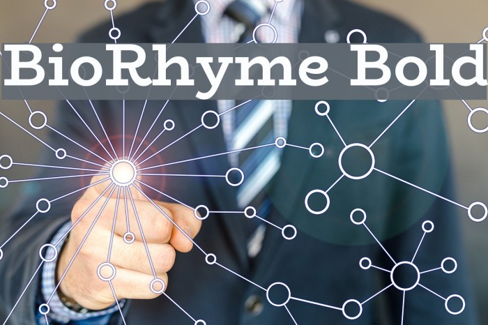BioRhyme Bold Font examples
