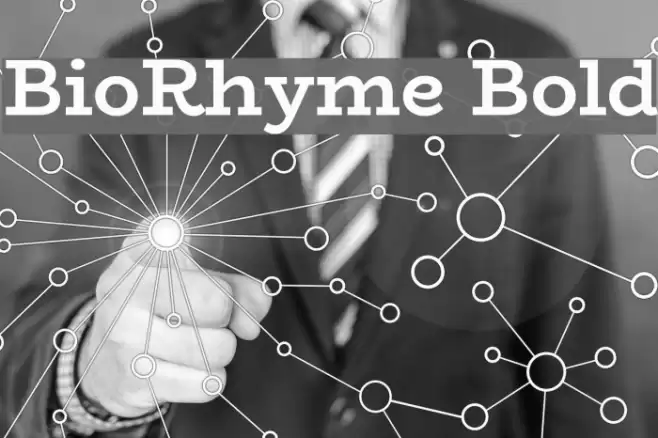 BioRhyme Bold Шрифта examples