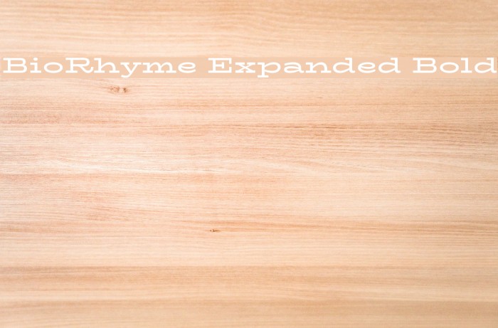 BioRhyme Expanded Bold Font examples
