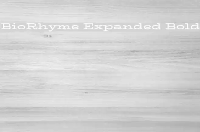 BioRhyme Expanded Bold Fonte examples