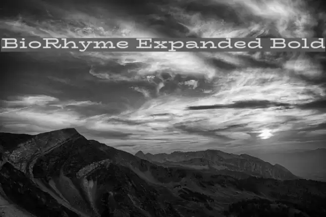BioRhyme Expanded Bold Fonte examples