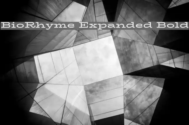 BioRhyme Expanded Bold Fonte examples