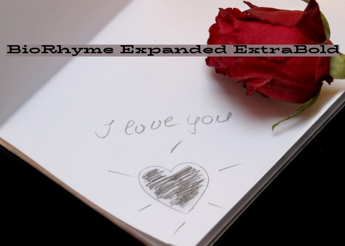 BioRhyme Expanded ExtraBold Font examples