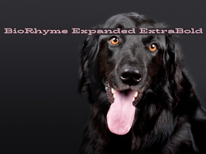 BioRhyme Expanded ExtraBold Font examples