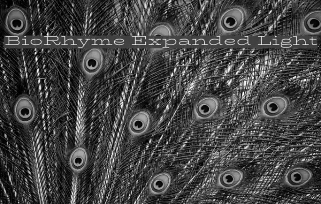BioRhyme Expanded Light Font examples