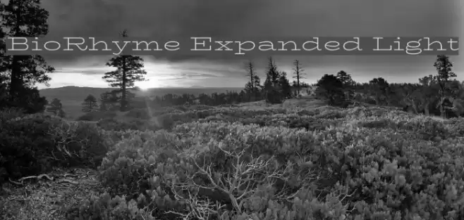 BioRhyme Expanded Light Font examples