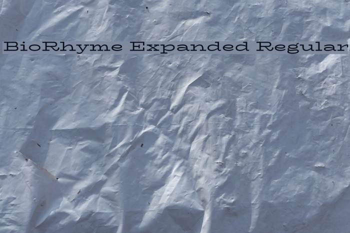 BioRhyme Expanded Regular Font examples