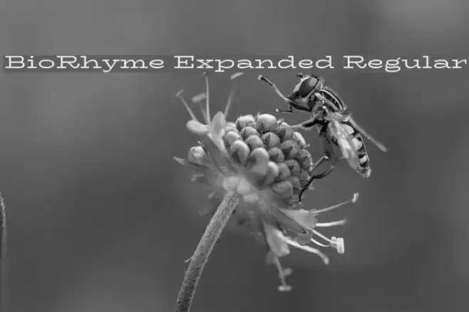 BioRhyme Expanded Regular Шрифта examples