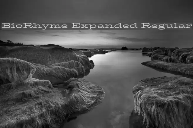 BioRhyme Expanded Regular Шрифта examples
