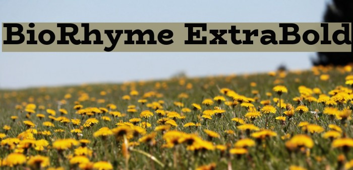 BioRhyme ExtraBold Шрифта examples