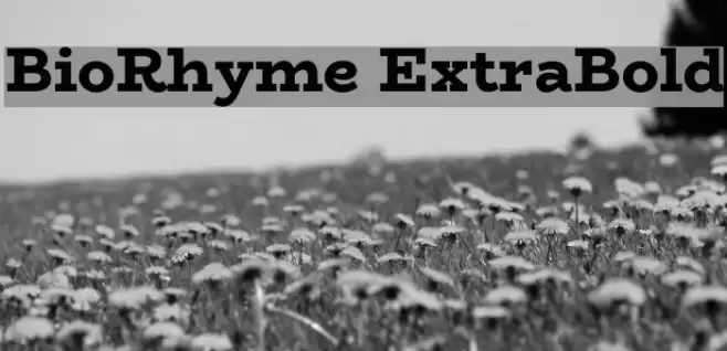 BioRhyme ExtraBold Schriftart examples