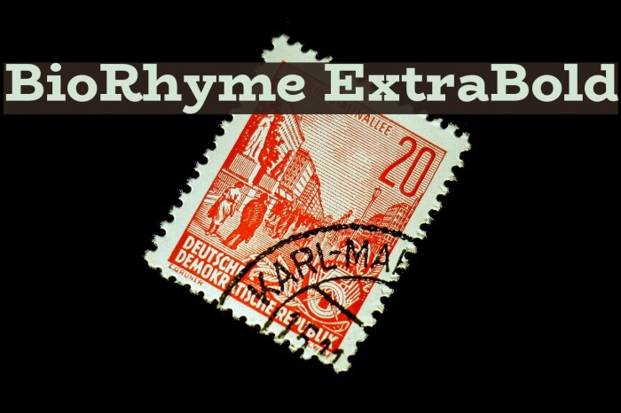 BioRhyme ExtraBold Шрифта examples