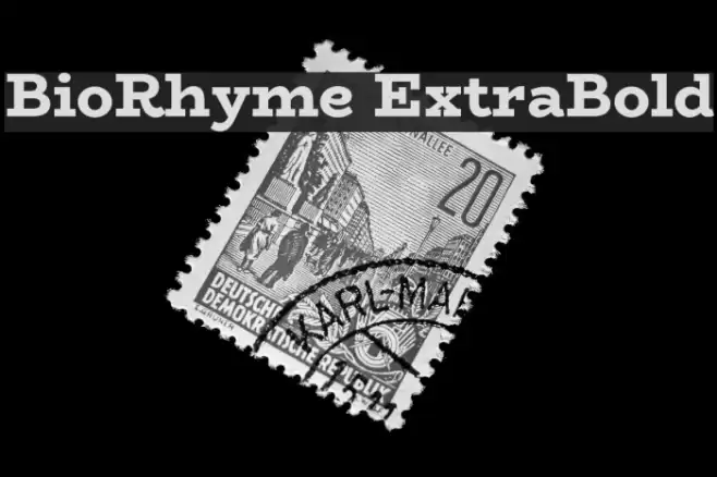 BioRhyme ExtraBold Schriftart examples